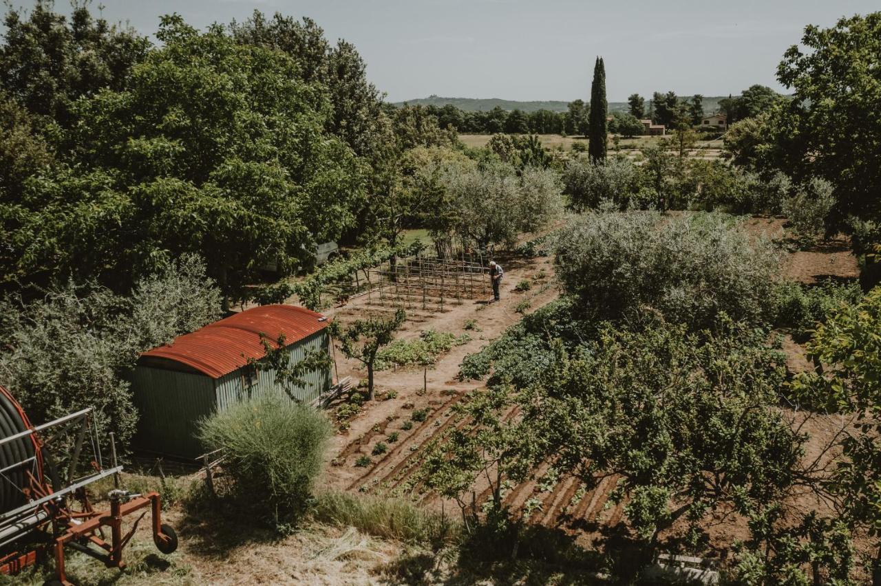 Agriturismo Cerqueto Acquapendente Ngoại thất bức ảnh