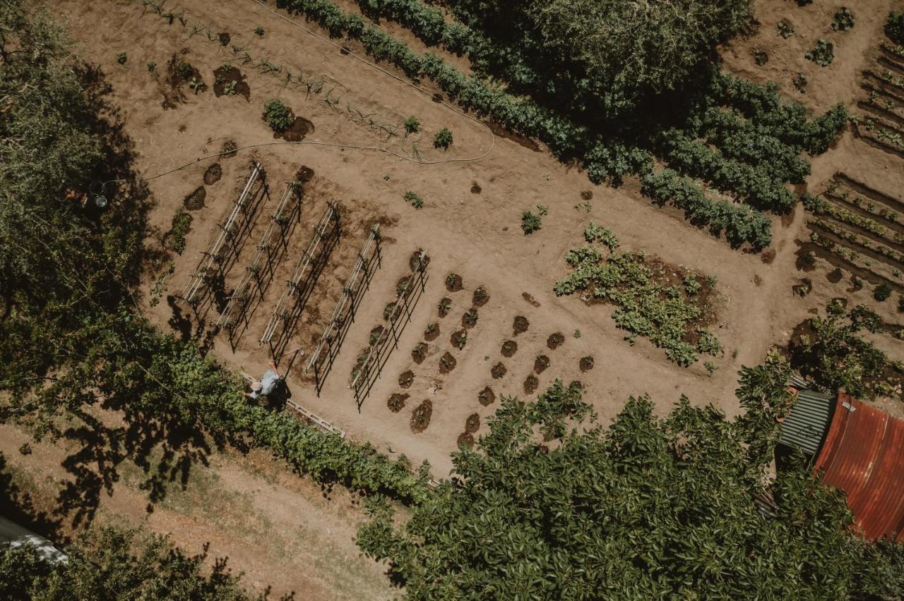 Agriturismo Cerqueto Acquapendente Ngoại thất bức ảnh